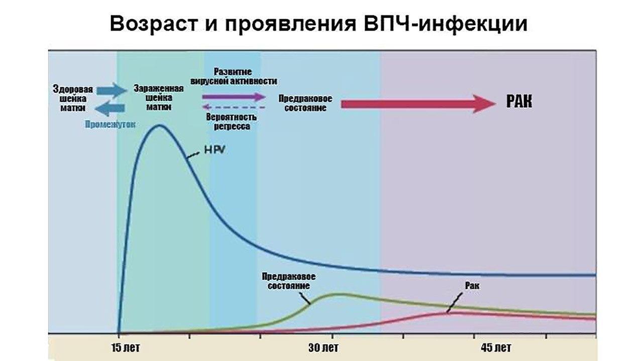 Впч у женщин и сыпь thumbnail