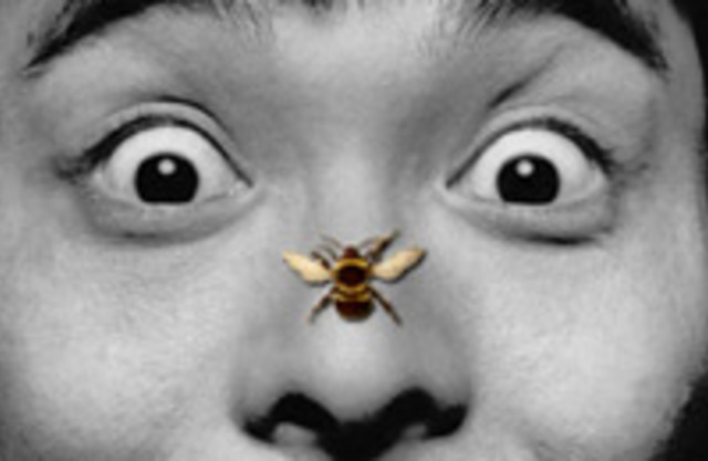 Анафилактический шок (анафилаксия). Иммунология, аллергология