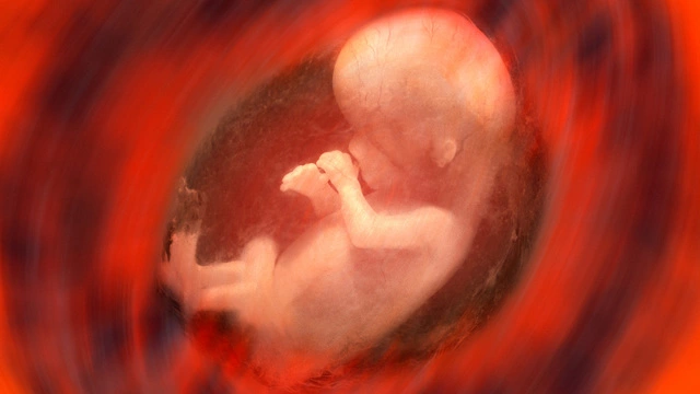 Неразвивающаяся (замершая) беременность. Причины и признаки.