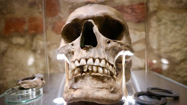 Судебно-медицинская экспертиза по останкам зубов: как зубы сохраняют информацию о человеке и помогают следствию