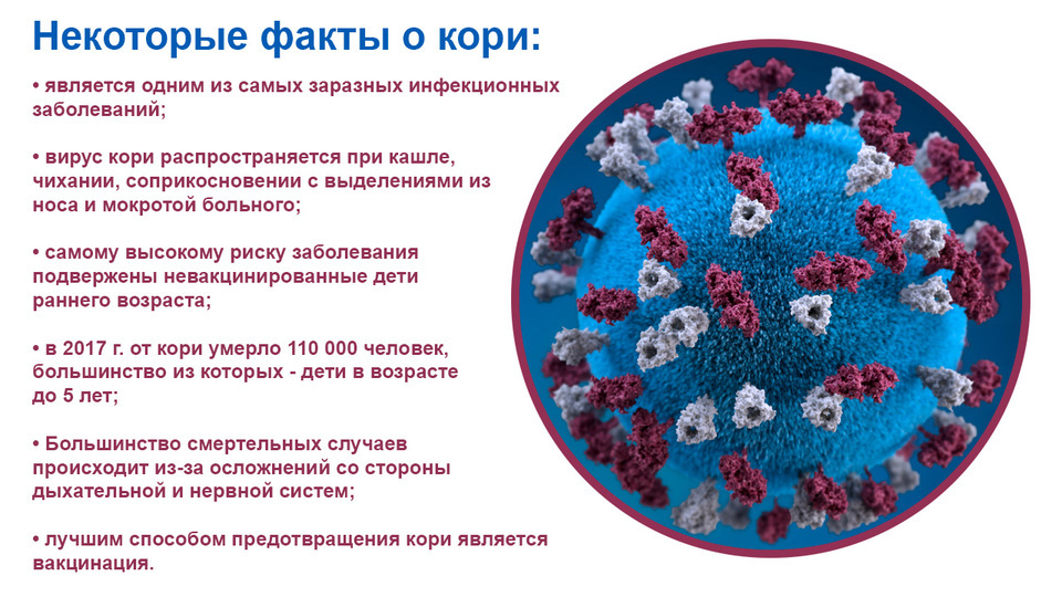 Вирус кори диагностика. Интересные факты о вирусе кори.