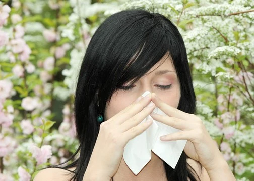 Как облегчить аллергию в домашних условиях