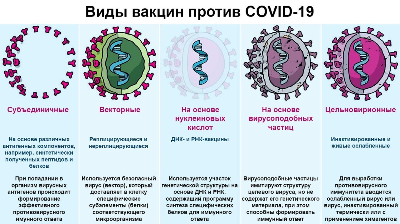 Виды вакцин. Виды векторных вакцин. Вакцины на основе вирусоподобных частиц. Векторные пептидные цельновирионные вакцины. Вакцины от коронавируса в России названия и отличия 2022.