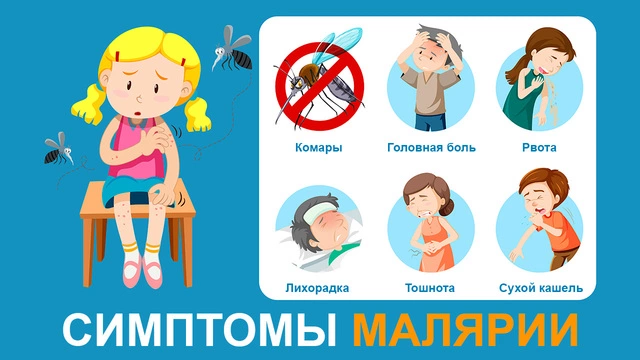 Малярия: симптомы, лечение, возбудитель, профилактика