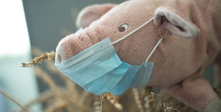 Свиной грипп не покидает Россию: так ли он страшен?