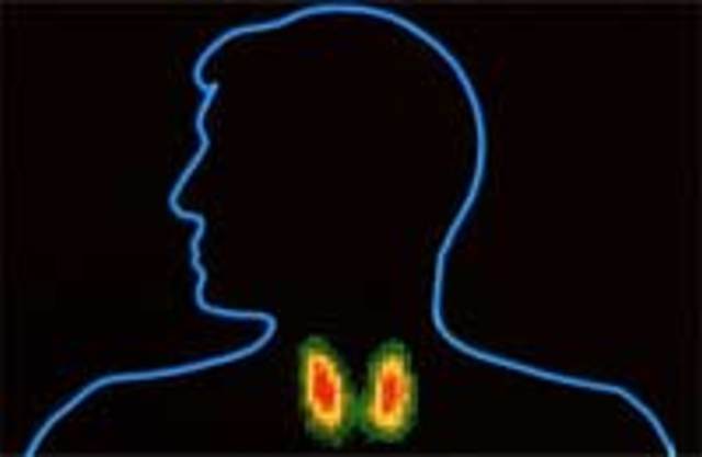 Болезни щитовидной железы: разновидности
