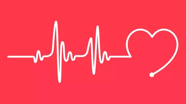 Программа «Кардио-риск»: чтобы сердце билось ровно