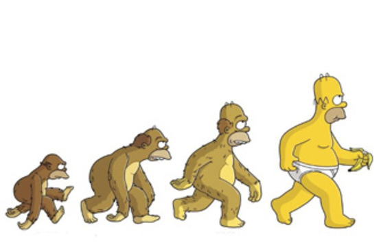 Эволюция на теле