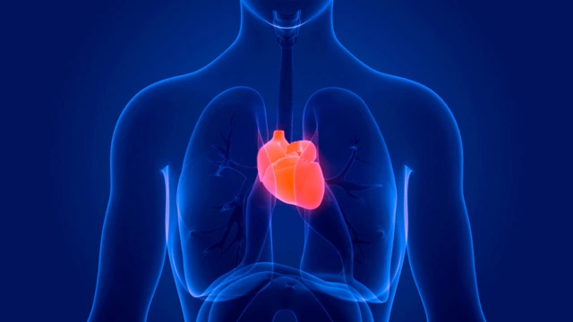 Боль в сердце: симптомы, причины, виды и методы лечения в «СМ-Клиника»