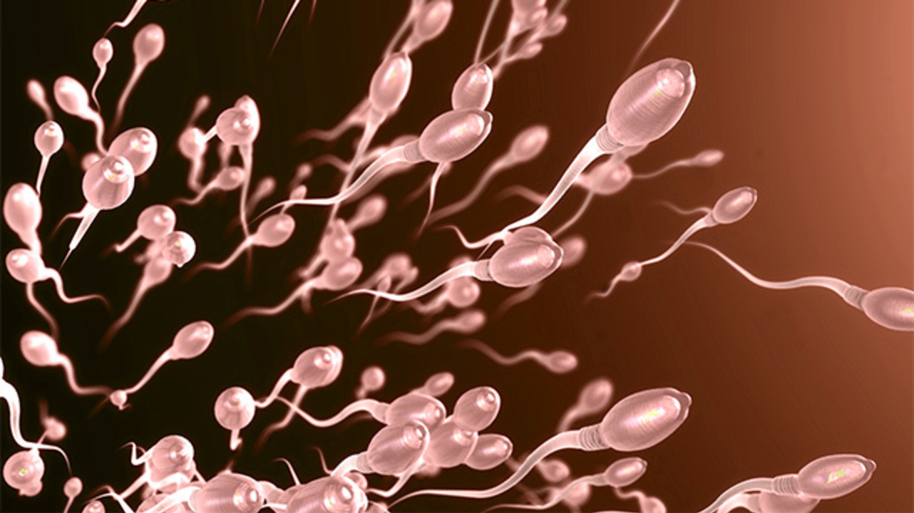 6 фактов о сперме