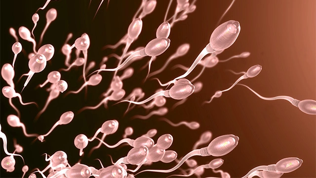 Как улучшить свойства нормальной спермы?