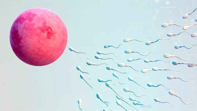 Как победить на гонках сперматозоидов