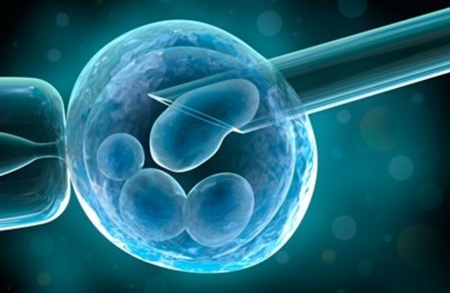 О «японском протоколе»: новые возможности репродуктологии