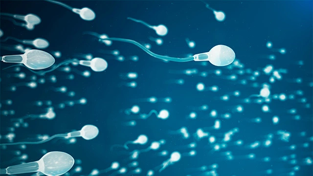 Сперматозоиды под микроскопом. — Video | VK