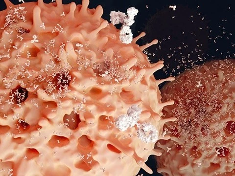 Неспецифическая иммунотерапия рака и адъюванты