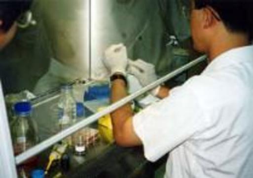 ВОЗ нашла мексиканский образец вируса H2N2, но потеряла четыре других