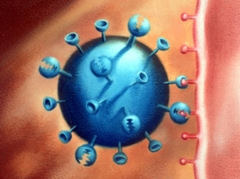 Почти 1,4 тысячи москвичей [заразились гриппом H1N1]