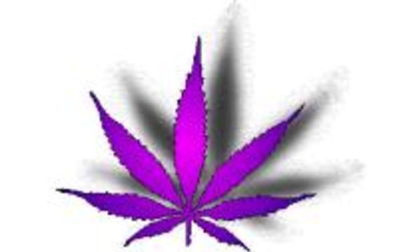 Доклад: Медицинское применение марихуаны