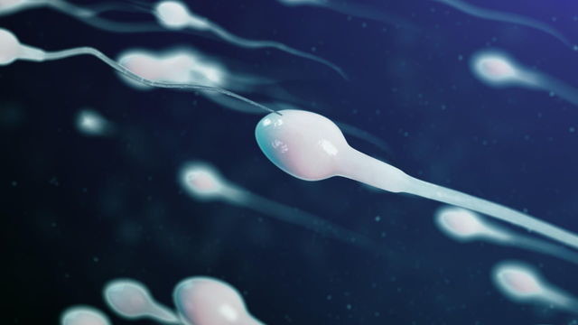 Исследование обнаружило связь между частым использованием мобильных и качеством спермы