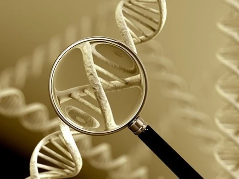 Ученые обнаружили опасные мутации в геноме большинства людей