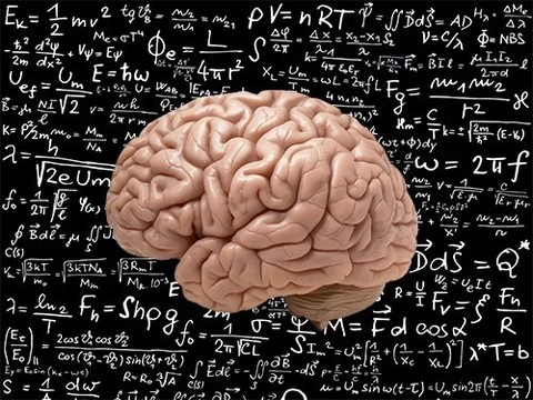 Исследователи нашли «физический движок» мозга