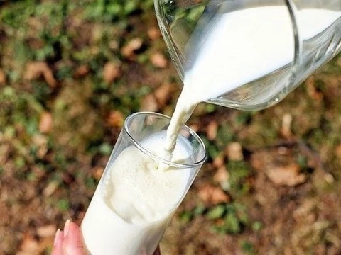 Ученые нашли связь между молоком и раком молочной железы