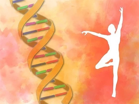 Секрет худобы, которой нипочем любая еда, находится в ДНК