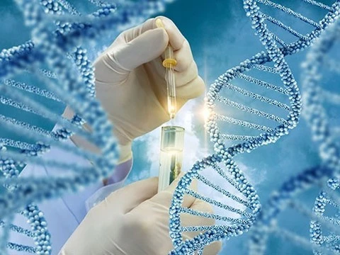 Необходимость предоперационной химиотерапии определит генетический анализ