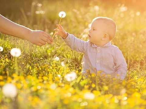 Дети, родившиеся летом, имеют больше шансов вырасти здоровыми