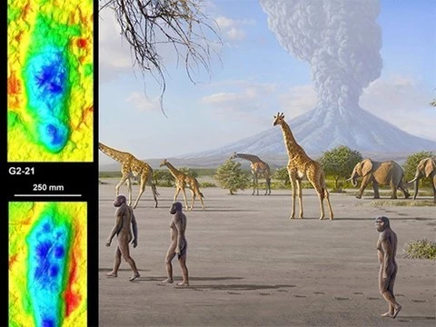 Изучены следы человеческих предков, оставленные более трех миллионов лет назад