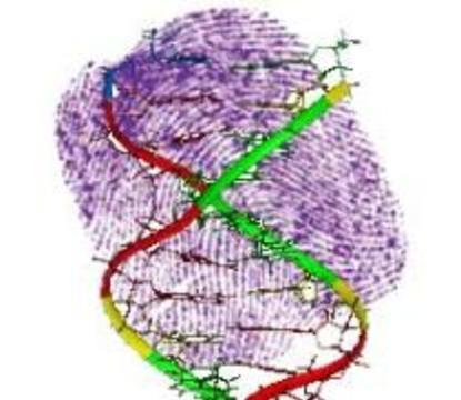 Из отпечатков пальцев научились выделять ДНК