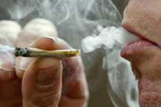 К чему приводит частое курение марихуаны уголовные статьи за выращивание конопли