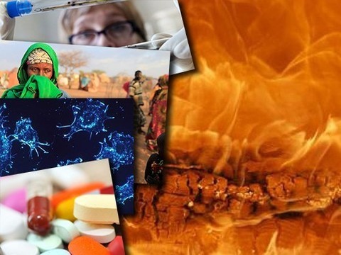 Термогенез, голод и алгоритм, предсказывающий эволюцию опухолей