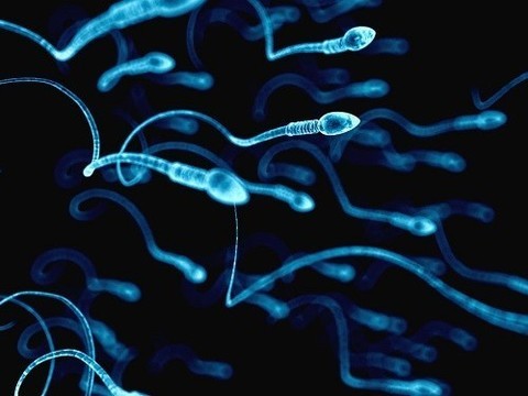 Контрацептивы для мужчин могут появиться в аптеках в 2021 году