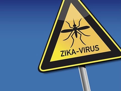 Российские эпидемиологи напоминают туристам об опасности инфицирования вирусом Зика