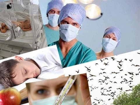 О пользе птиц, пробиотиков и инкубаторов для недоношенных детей