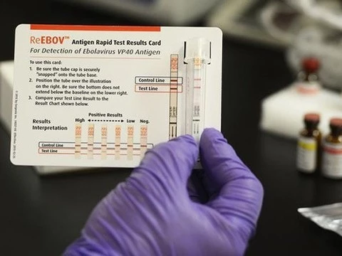 Экспресс-тест на вирус Эбола не используется в Западной Африке