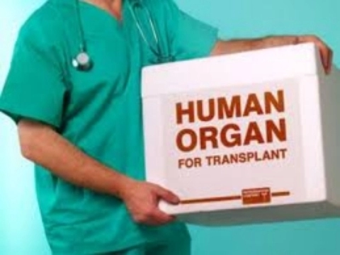 Трансплантация органов [повышает риск развития 32 видов рака]
