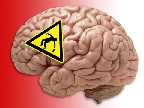 Ученые подсчитали, как долго мозг восстанавливается после пьянки