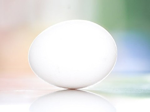 Что будет с организмом если съедать одно яйцо в день