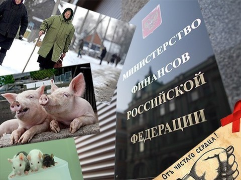 Крысомыши, свиночеловеки и удаление легких