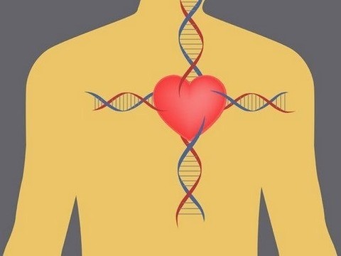 Неустойчивость доходов молодости ведет к преждевременной смерти, инфарктам, инсультам