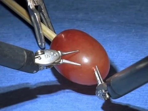 Видео: робот-хирург da Vinci оперирует виноградину