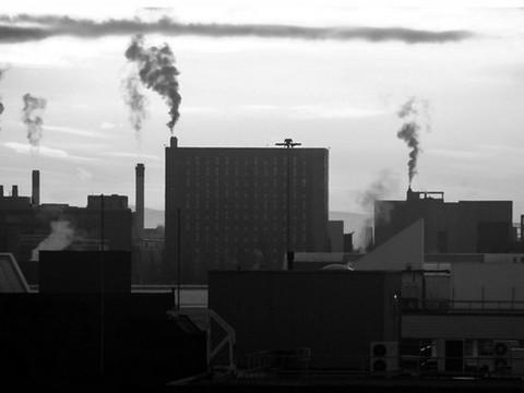 Дышать загрязненным городским воздухом — все равно, что выкуривать по пачке сигарет в день
