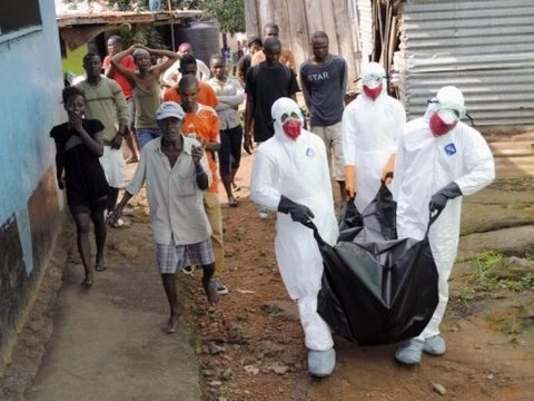 [В Гвинее убиты члены группы] по профилактике вируса Эбола
