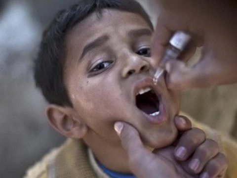 ВОЗ объявила полиомиелит [угрозой международного масштаба]