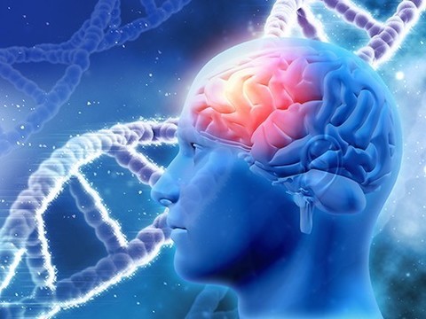 Мутации гена BRCA1 связаны не только с раком молочной железы, но и с болезнью Альцгеймера