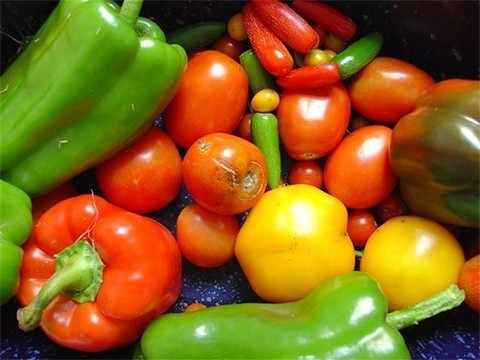 В овощах нашли вещество, которое может продлевать жизнь на 10%
