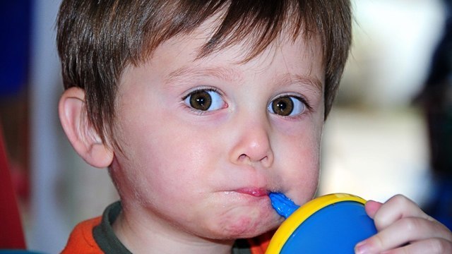 Дети менее привередливы в пище, когда родители не заставляют их есть — педиатры США