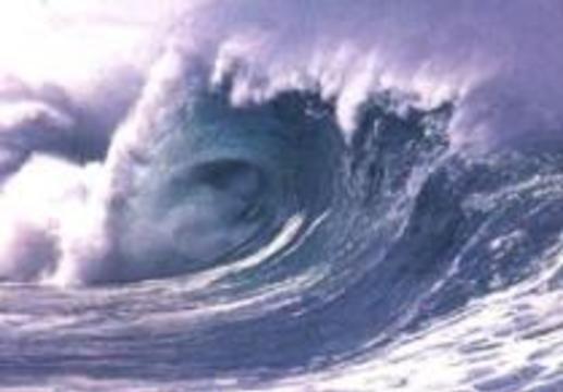 ВОЗ: болезни могут унести больше жизней, чем цунами